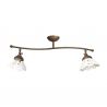 Lustra tavan cu 2 abajure din ceramica directionabile Vintage Soul