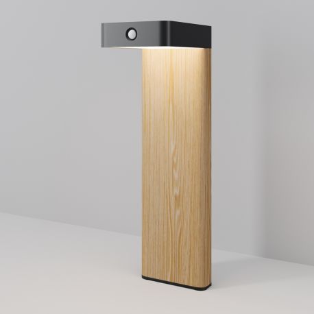 Lampi decorative si solare - Stalp, Lampa solara cu senzor de miscare IP65 Nordis