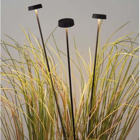 Tarusi - Set de 3 corpuri iluminat exterior decorativ cu tarus KASP H-60cm