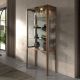 Vitrine - Vitrina design LUX cu iluminat Glass and Walnut