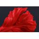 Statuete - Statueta decorativa extravaganta Fisch Crowntail 35cm, rosu