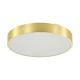 Iluminat pentru baie - Plafoniera LED CCT IP44 NADI 40cm auriu