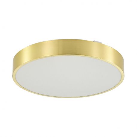 Iluminat pentru baie - Plafoniera LED CCT IP44 NADI 40cm auriu