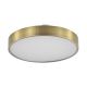 Iluminat pentru baie - Plafoniera LED CCT IP44 NADI 50cm alama antic