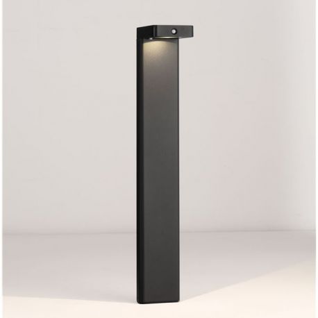 Stalpi - Stalp, Lampa solara cu senzor de miscare IP65 BERET 60cm
