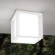 Aplice - Aplica de exterior IP44 HENRY alb