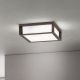 Aplice - Aplica perete sau tavan de exterior IP44 HENRY corten