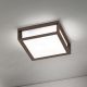 Aplice - Aplica perete sau tavan de exterior IP44 HENRY corten