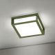 Aplice - Aplica perete sau tavan de exterior IP44 HENRY verde