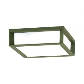Aplica perete sau tavan de exterior IP44 HENRY verde