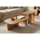 Masute Living - Set 2 masute din lemn de mango GATSBY 100cm/45cm