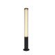 Stalpi - Stalp LED iluminat exterior IP65 Gardenia 25W