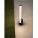 Stalpi - Stalp LED iluminat exterior IP65 BRANT H-46cm