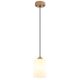 Pendule, Lustre suspendate - Pendul din lemn ROWENA
