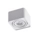 Spot aplicat PAOLA 1 230V WH