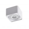 Spot aplicat PAOLA 1 230V WH