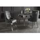 Seturi scaune, HoReCa - Set 2 scaune stil baroc Modern Barock, gri/ argintiu