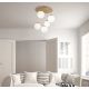 Lustre aplicate - Lustra aplicata moderna HARMON 5L sampanie/alb
