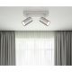 Plafoniere cu spoturi, Spoturi aplicate - Aplica de perete / tavan cu 2 spoturi directionabile design modern ROBBY nickel mat