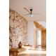 Lustre cu ventilator - Lustra cu Ventilator aplicat tavan cu telecomanda KLIM M 125cm, negru/ pin