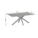 Masute Living - Masuta de cafea cu blat ceramic GALAXIE gri 100x60cm