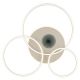 Lustre aplicate - Lustra LED aplicata design circular cu telecomanda INVERTINA alb/ nisip