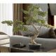 Aranjamente florale LUX - Planta artificiala, SOKAN BONSAI 81cm
