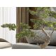 Aranjamente florale LUX - Planta artificiala, SOKAN BONSAI 81cm