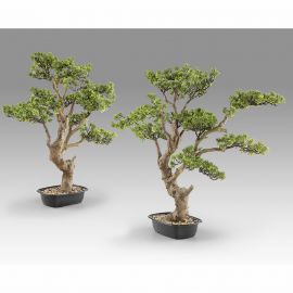 Aranjamente florale LUX - Set de 2 Plante artificiale, SOKAN BONSAI 81cm