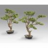 Set de 2 Plante artificiale, SOKAN BONSAI 81cm