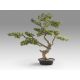 Aranjamente florale LUX - Set de 2 Plante artificiale, SOKAN BONSAI 81cm