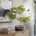 Planta artificiala, Bankan BONSAI 75cm