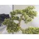 Aranjamente florale LUX - Planta artificiala, Bankan BONSAI 75cm