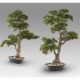 Aranjamente florale LUX - Set de 2 Plante artificiale, Chokkan BONSAI 83cm