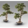 Set de 2 Plante artificiale, Chokkan BONSAI 83cm