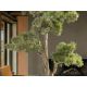 Aranjamente florale LUX - Set de 2 Plante artificiale, Chokkan BONSAI 83cm