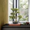 Planta artificiala, Moyogui BONSAI 51cm
