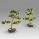 Set de 2 Plante artificiale, Moyogui BONSAI 51cm