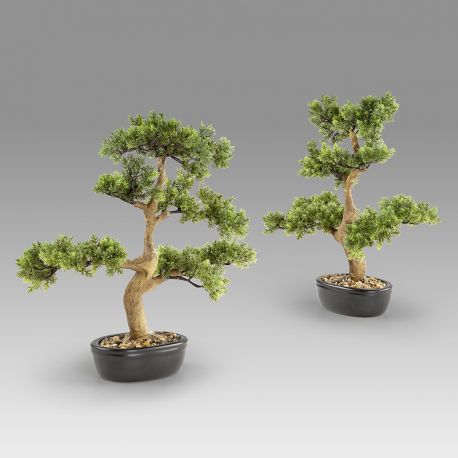 Aranjamente florale LUX - Set de 2 Plante artificiale, Moyogui BONSAI 51cm