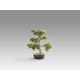 Aranjamente florale LUX - Set de 2 Plante artificiale, Moyogui BONSAI 51cm