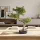 Aranjamente florale LUX - Planta artificiala, Bankan II BONSAI 49cm