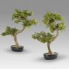 Set de 2 Plante artificiale, Bankan II BONSAI 49cm