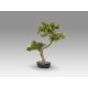 Aranjamente florale LUX - Set de 2 Plante artificiale, Bankan II BONSAI 49cm