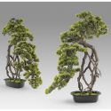 Set de 2 Plante artificiale, Kengai BONSAI 74cm