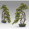 Set de 2 Plante artificiale, Kengai BONSAI 74cm