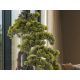 Aranjamente florale LUX - Set de 2 Plante artificiale, Kengai BONSAI 74cm