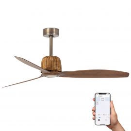 Lustre cu ventilator - Ventilator aplicat tavan smart sistem TUYA si telecomanda WEAVER M gold/walnut