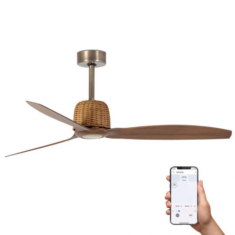 Lustre cu ventilator - Ventilator aplicat tavan smart sistem TUYA si telecomanda WEAVER M gold/walnut