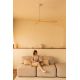Lustre cu ventilator - Ventilator tavan cu telecomanda ROCKER M alb/frasin