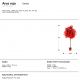 Aranjamente florale LUX - Planta artificiala, Artar rosu H-147cm